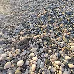 Modern Seaside Maisonette 130 M2 Oikia Litsas Paliouria Larissas Holiday home Kokkino Nero